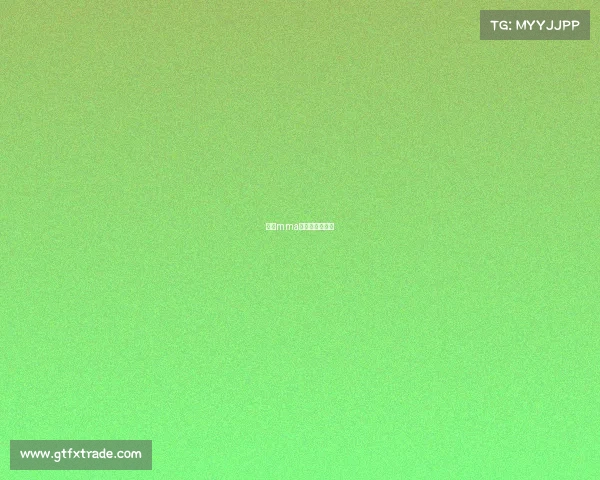 中国mma赛事在哪里参加