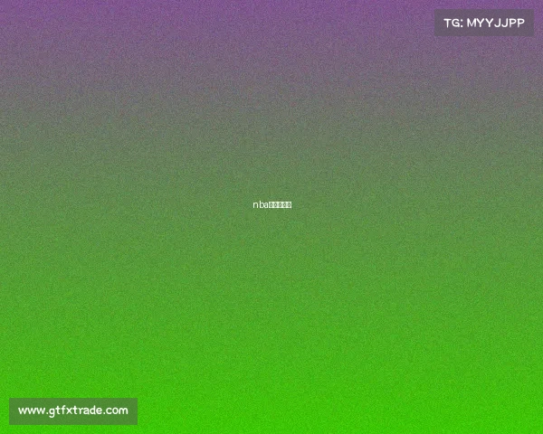 nba篮球赛照片 nba篮球赛照片