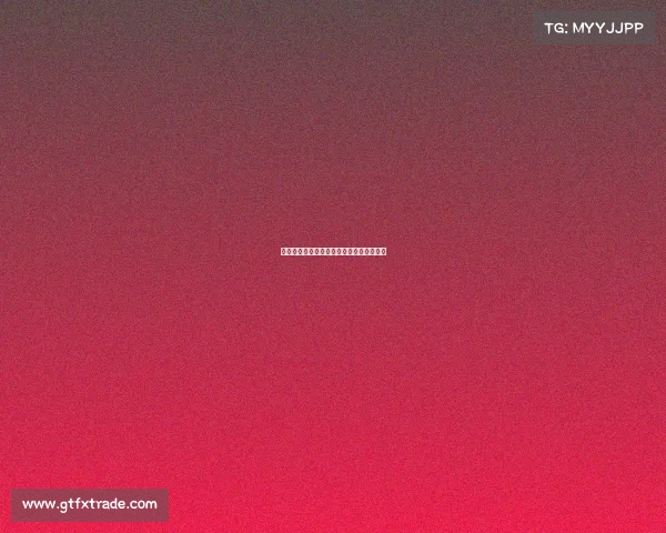 世界自由搏击赛事举办世界级自由搏击比赛