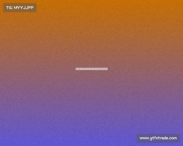 创新引领体育赛事承办实践谱写城市活力新篇章