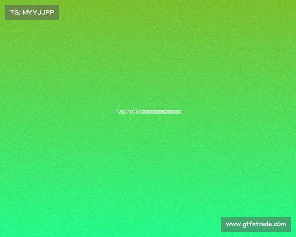 12月27日CBA赛事激情对决篮球盛典星光璀璨时刻